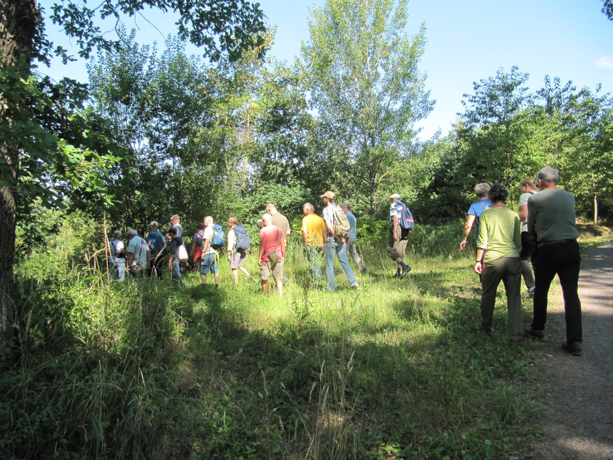 Waldbegehung_2026-07-25