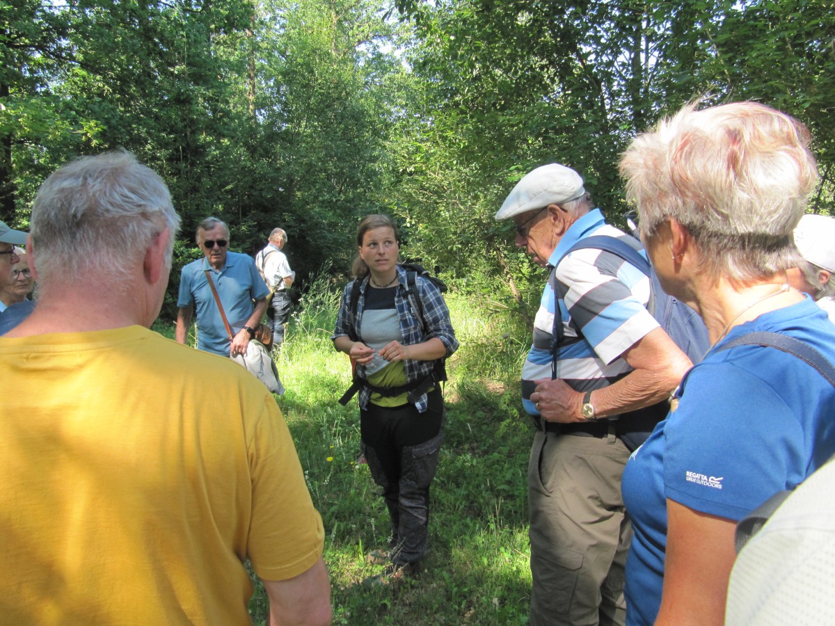 Waldbegehung_2026-07-25