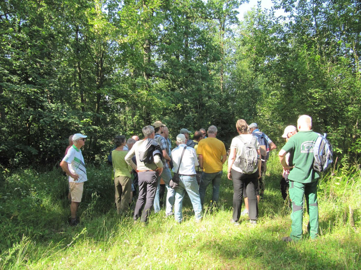 Waldbegehung_2026-07-25