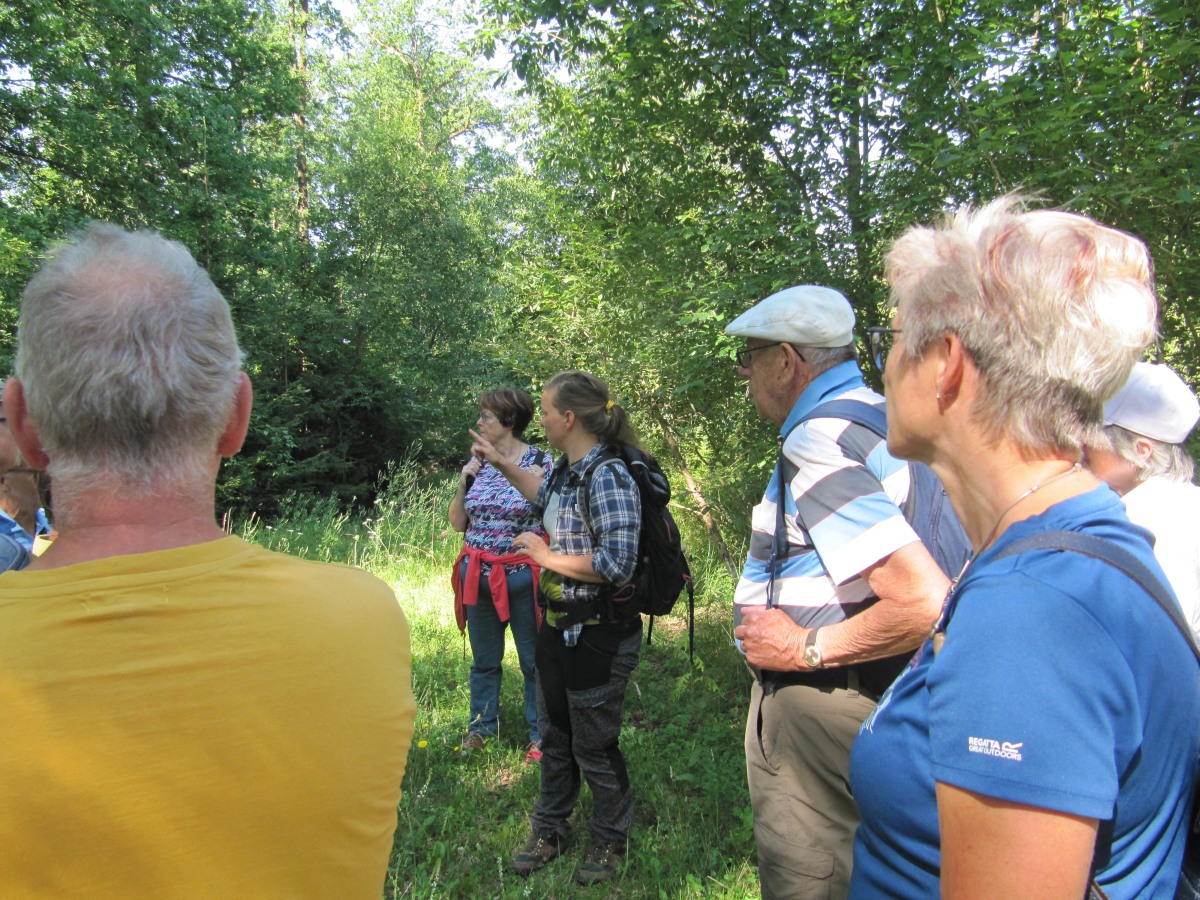 Waldbegehung_2026-07-25