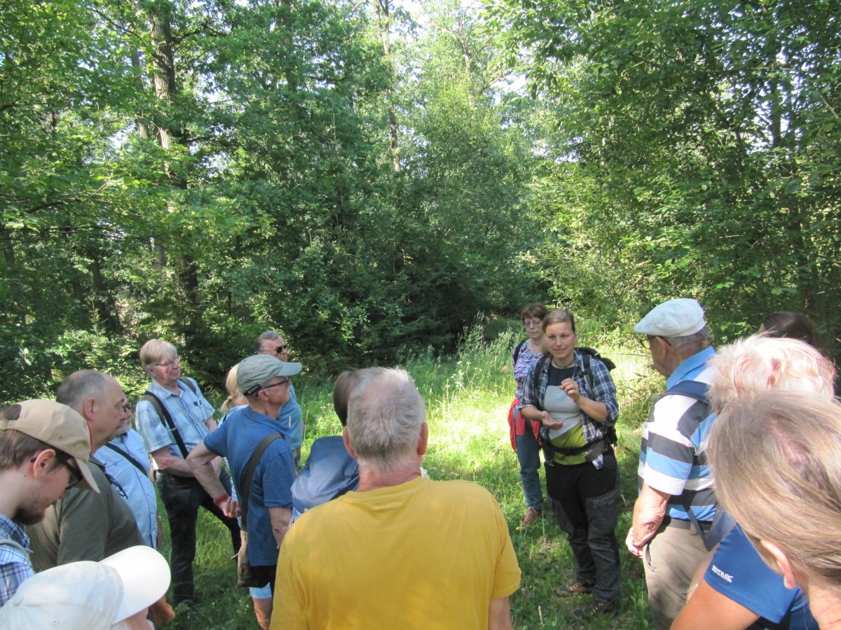 Waldbegehung_2026-07-25