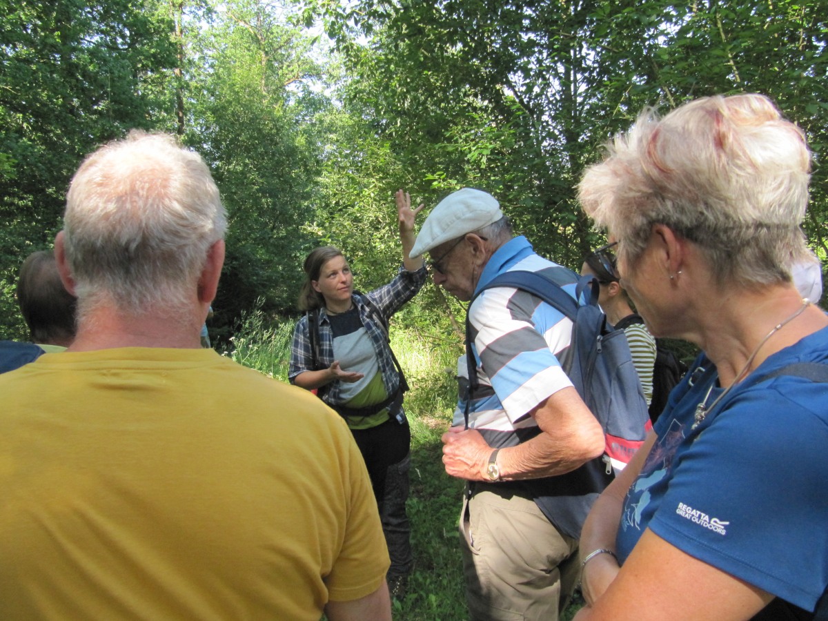 Waldbegehung_2026-07-25
