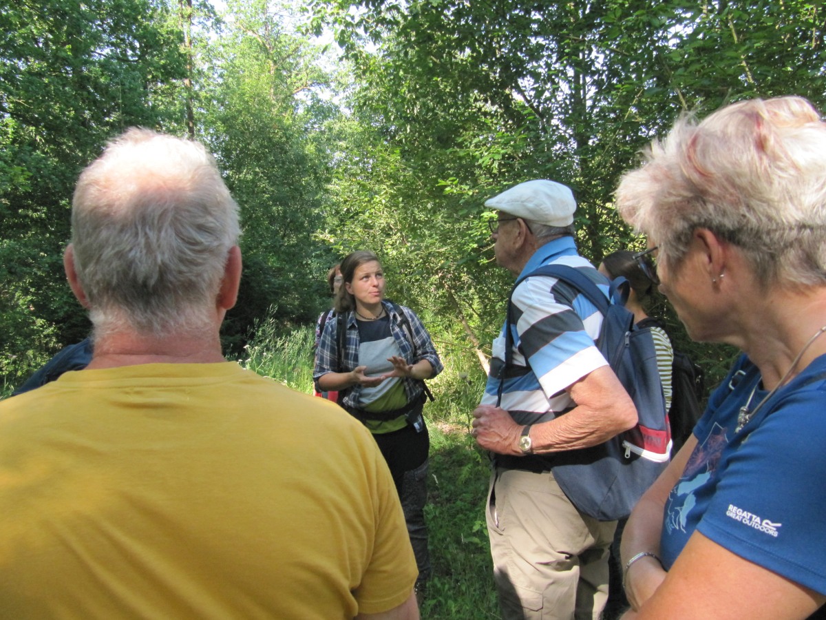 Waldbegehung_2026-07-25