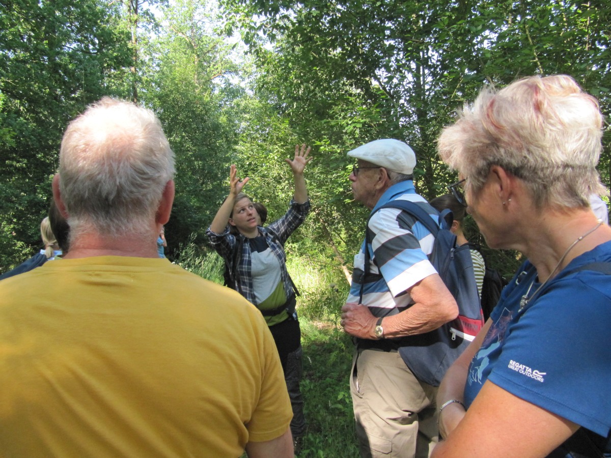 Waldbegehung_2026-07-25