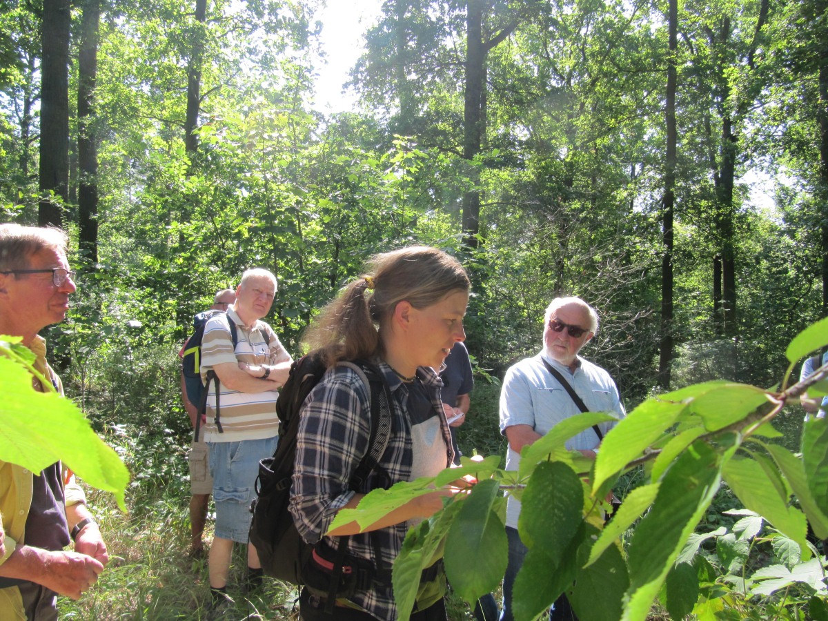 Waldbegehung_2026-07-25