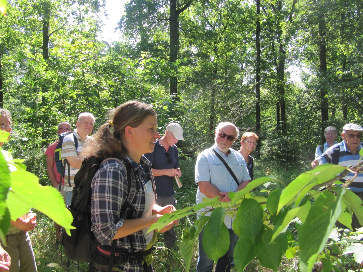 Waldbegehung_2026-07-25