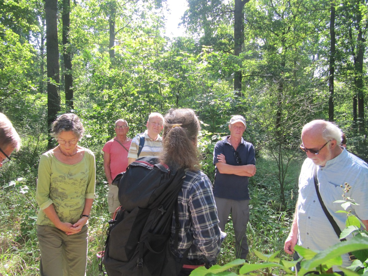 Waldbegehung_2026-07-25