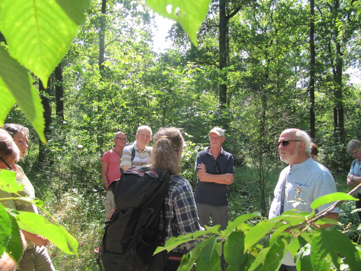Waldbegehung_2026-07-25