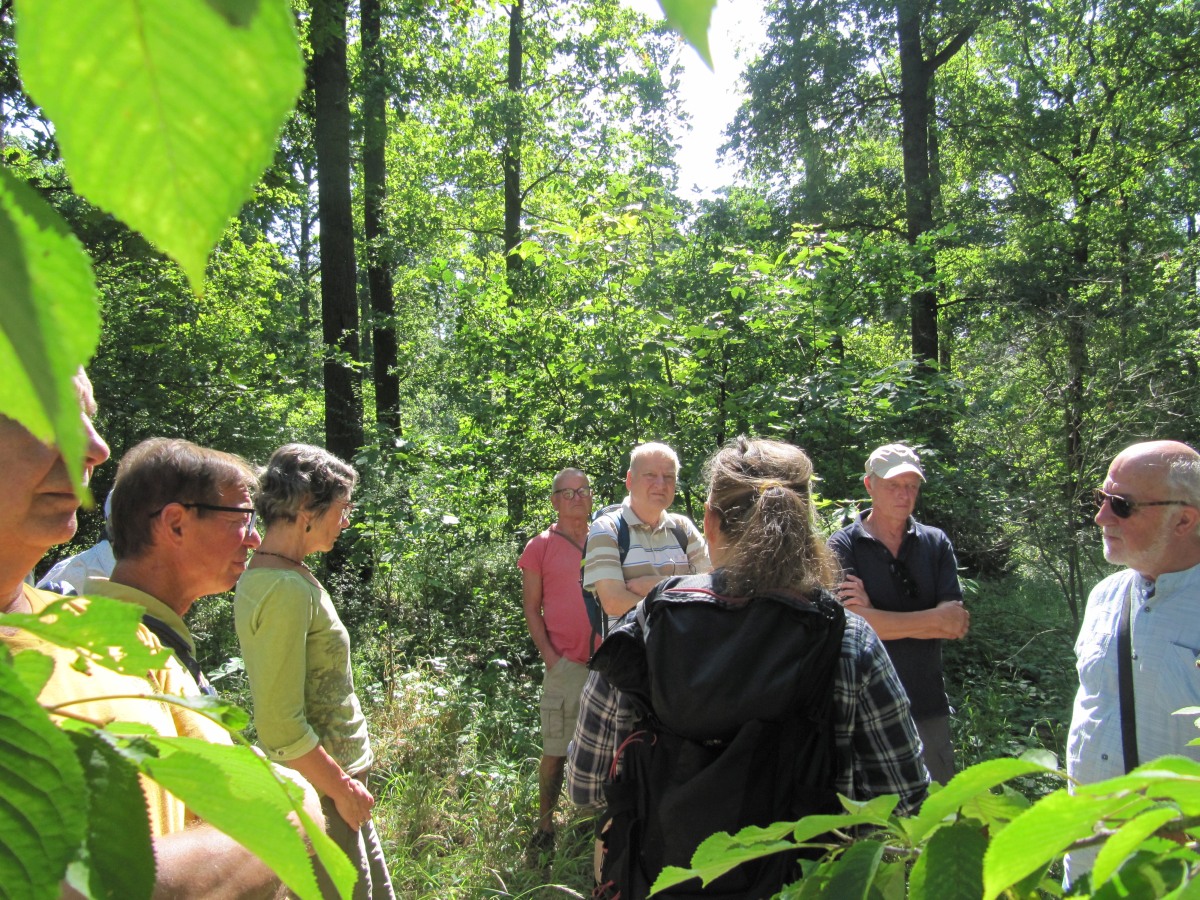 Waldbegehung_2026-07-25