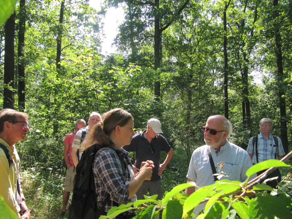 Waldbegehung_2026-07-25