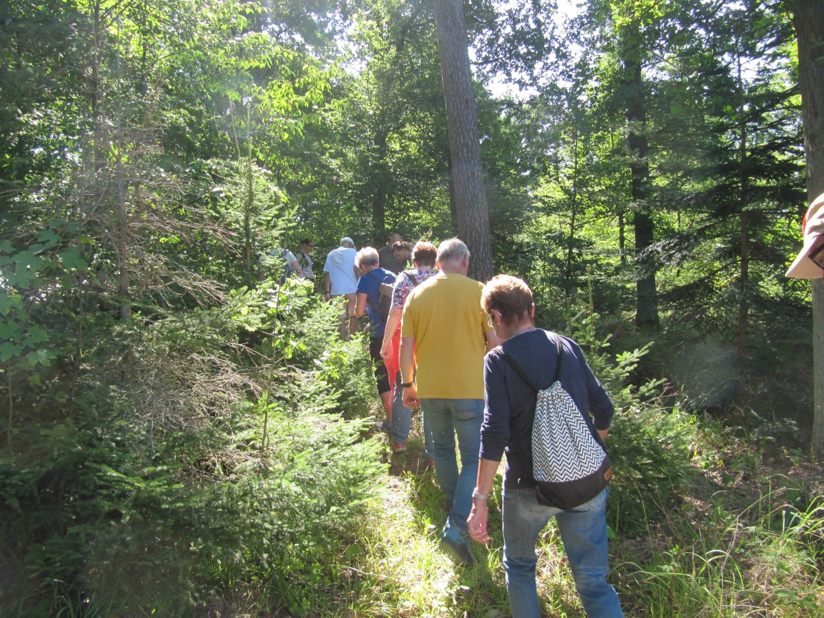 Waldbegehung_2026-07-25