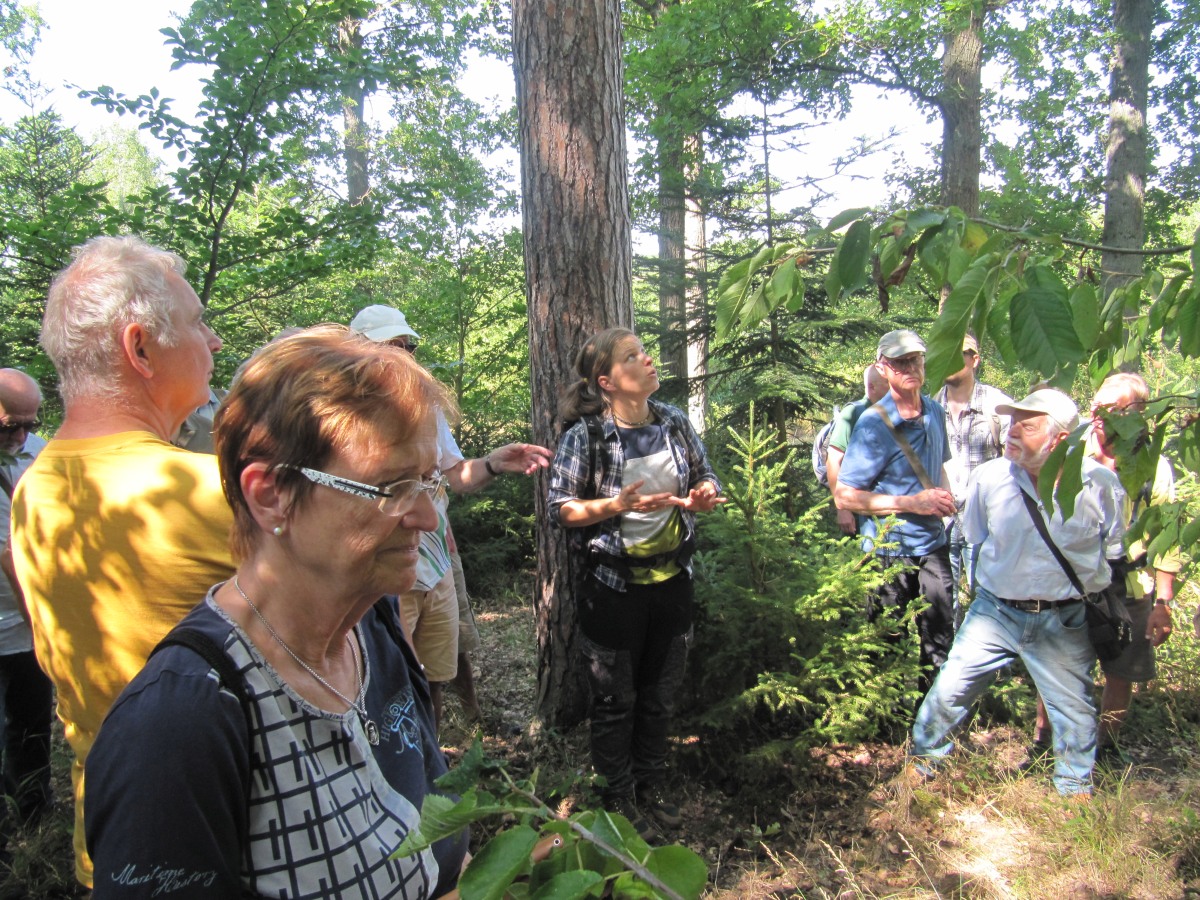 Waldbegehung_2026-07-25
