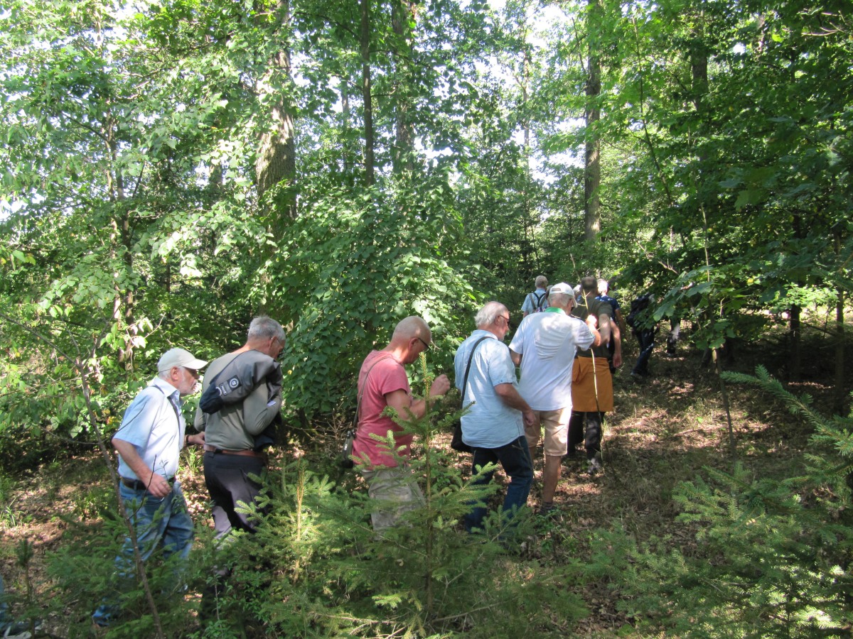Waldbegehung_2026-07-25
