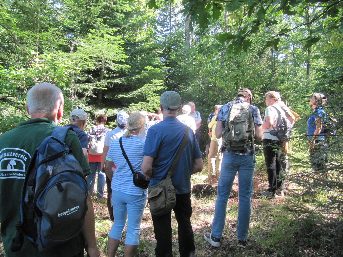 Waldbegehung_2026-07-25