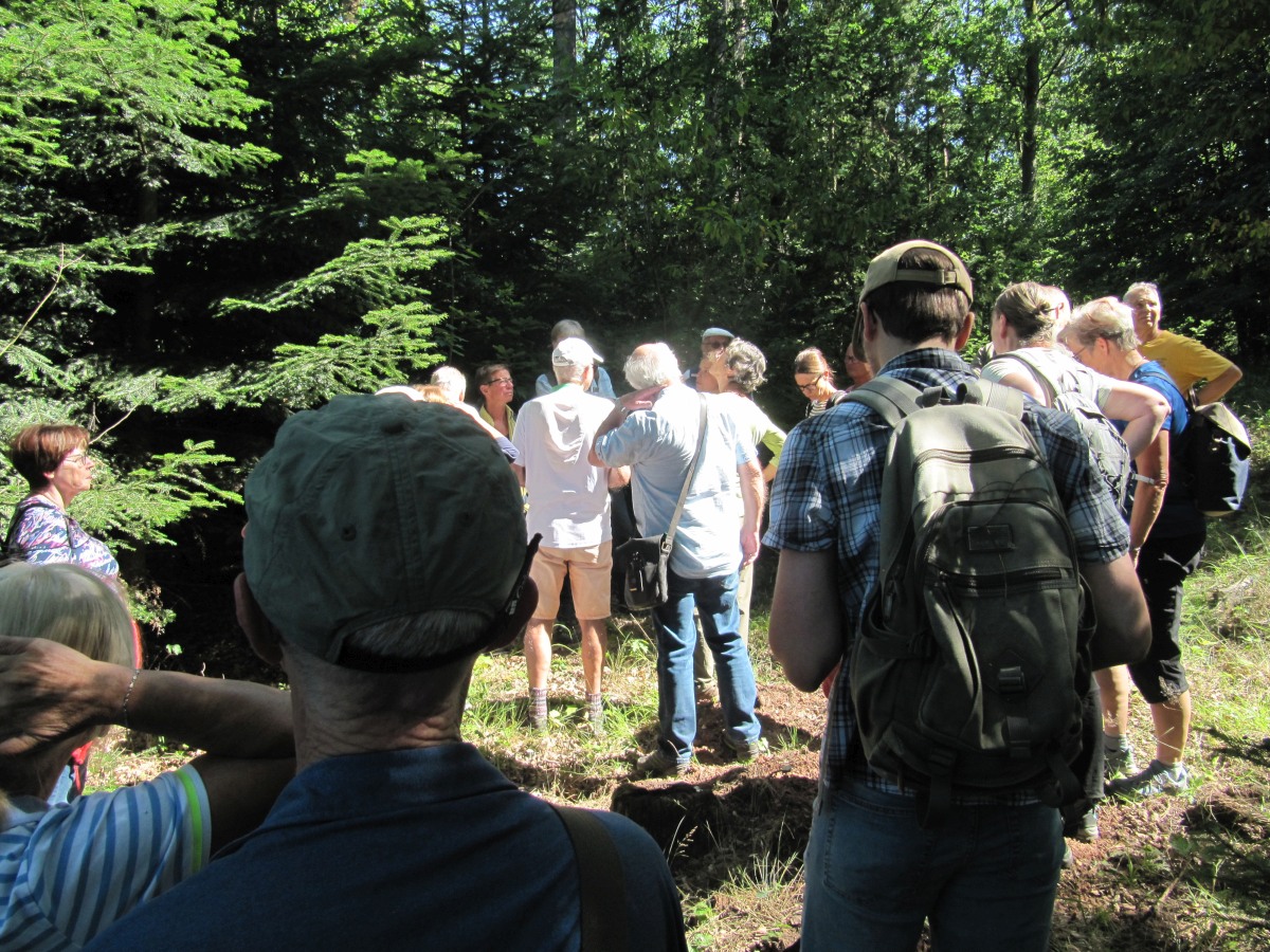 Waldbegehung_2026-07-25