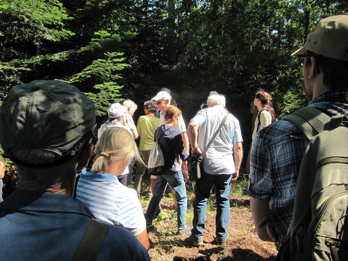 Waldbegehung_2026-07-25