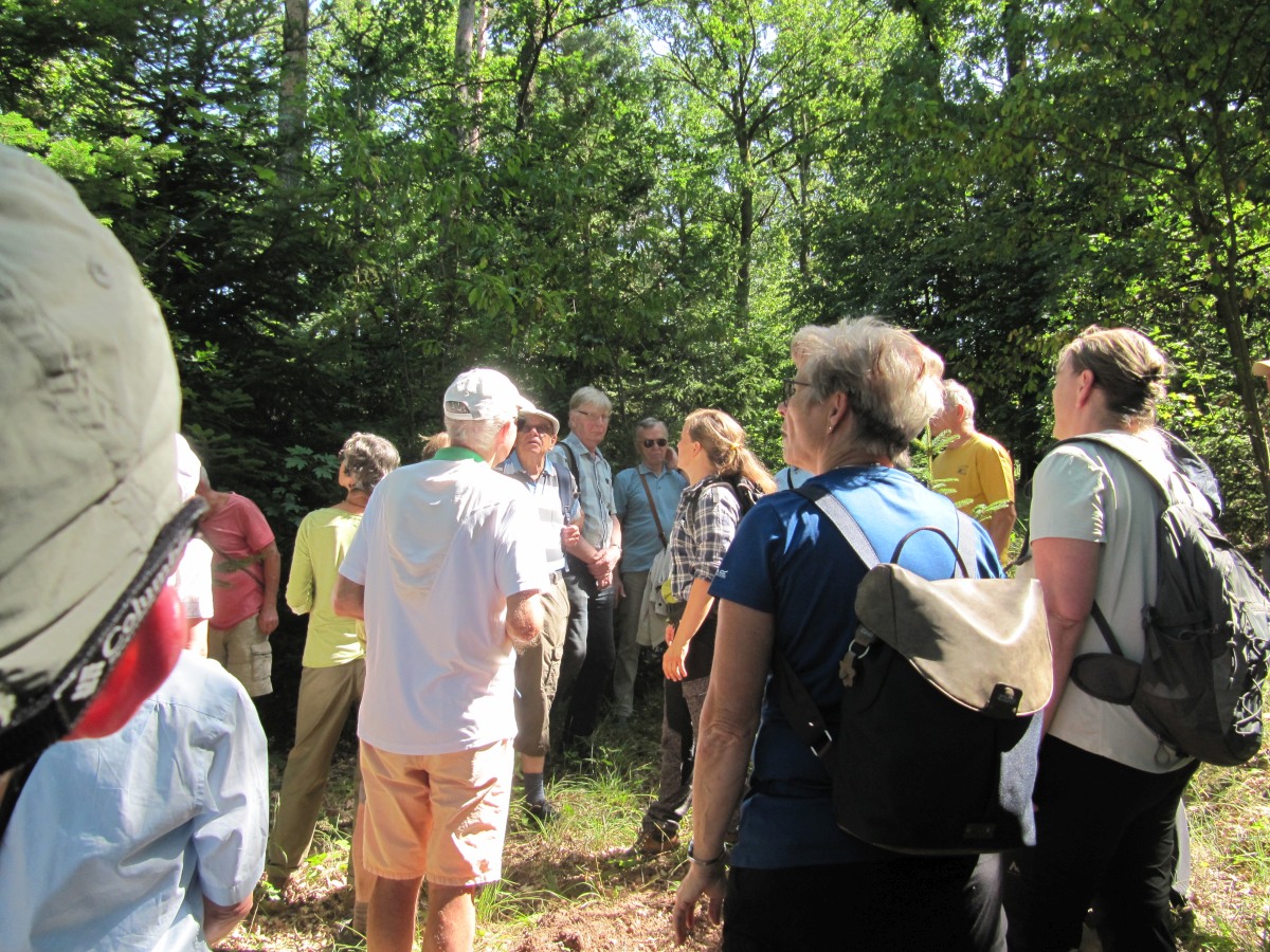 Waldbegehung_2026-07-25