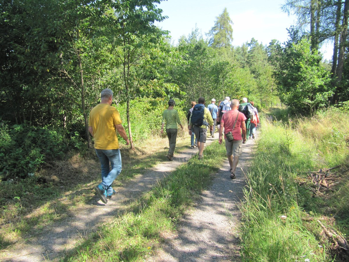 Waldbegehung_2026-07-25