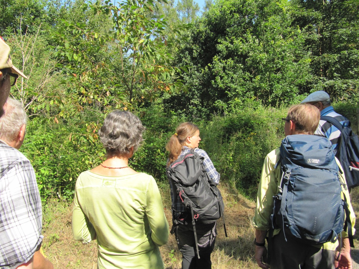 Waldbegehung_2026-07-25