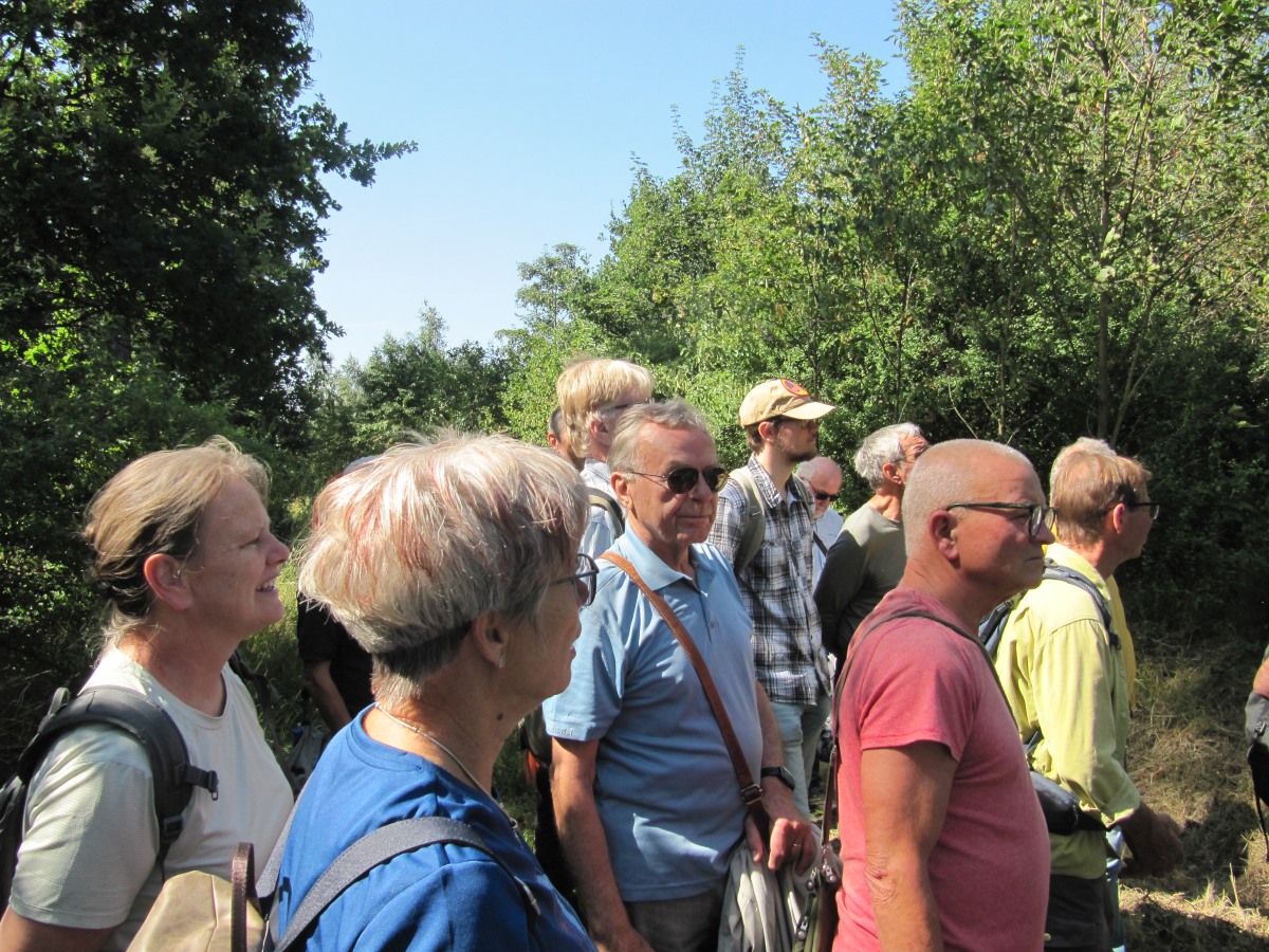 Waldbegehung_2026-07-25