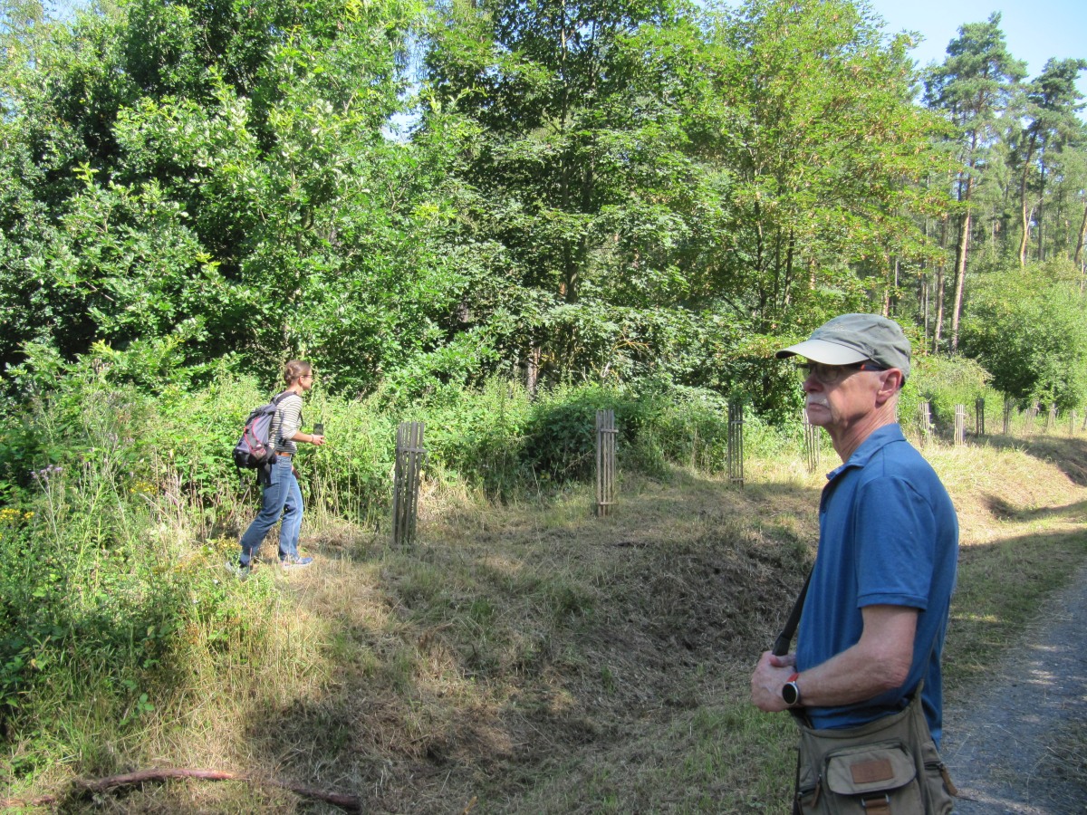 Waldbegehung_2026-07-25