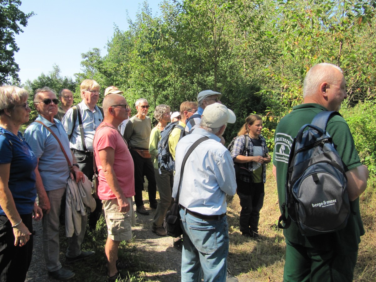 Waldbegehung_2026-07-25