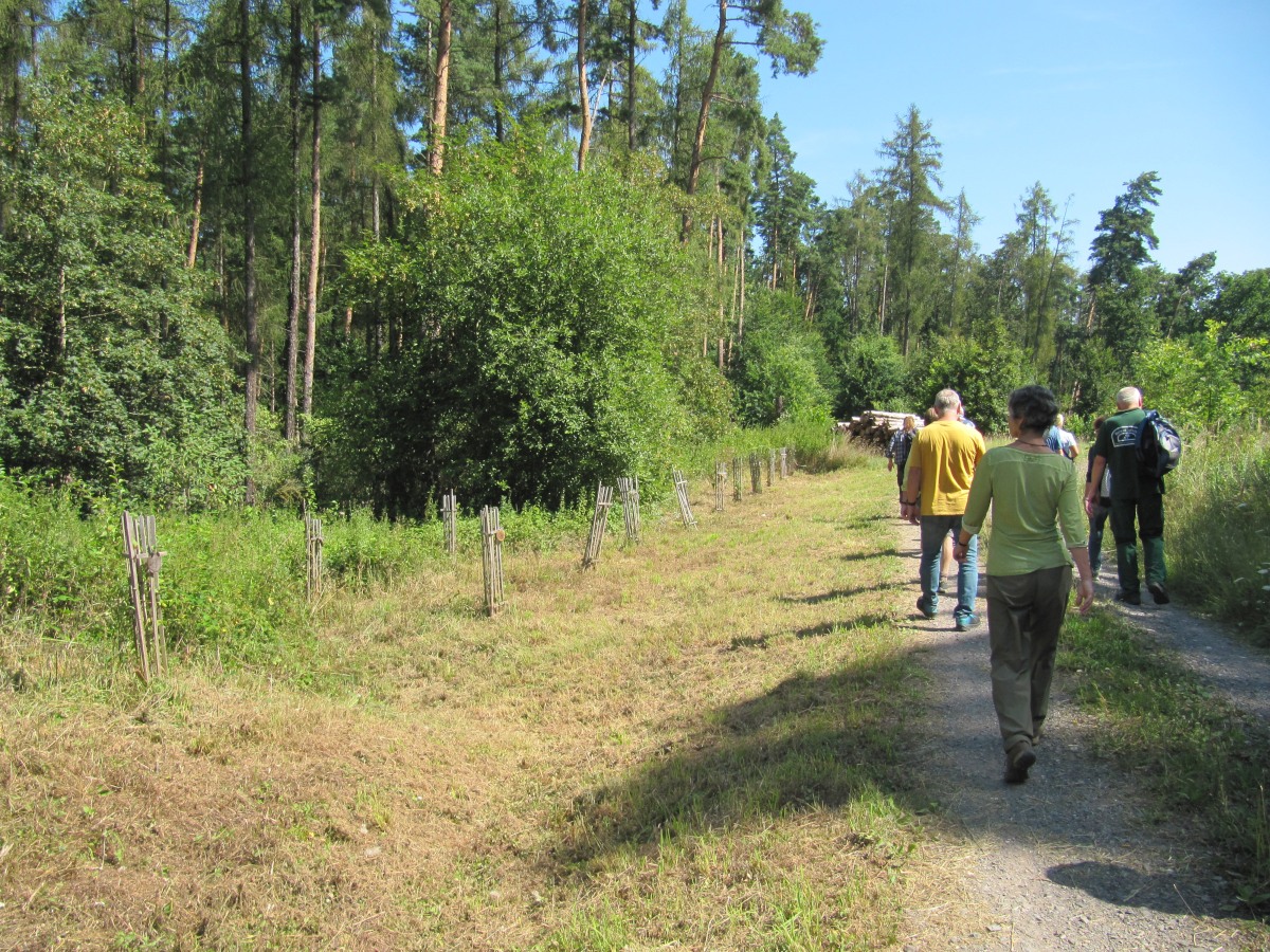 Waldbegehung_2026-07-25