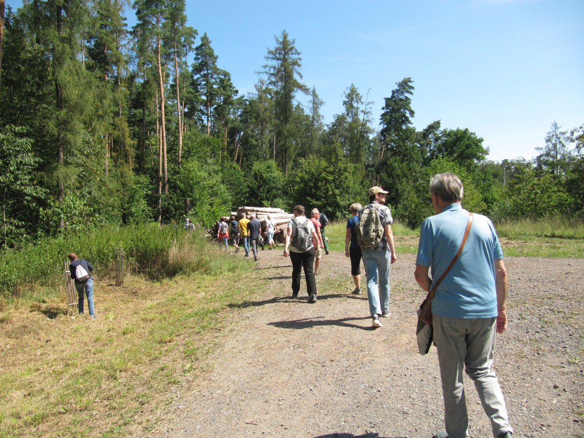 Waldbegehung_2026-07-25