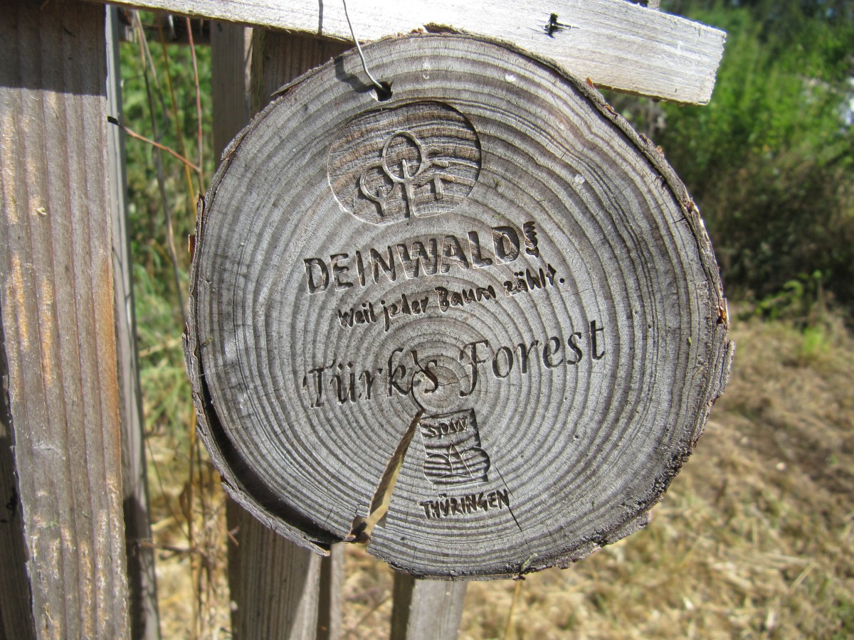 Waldbegehung_2026-07-25