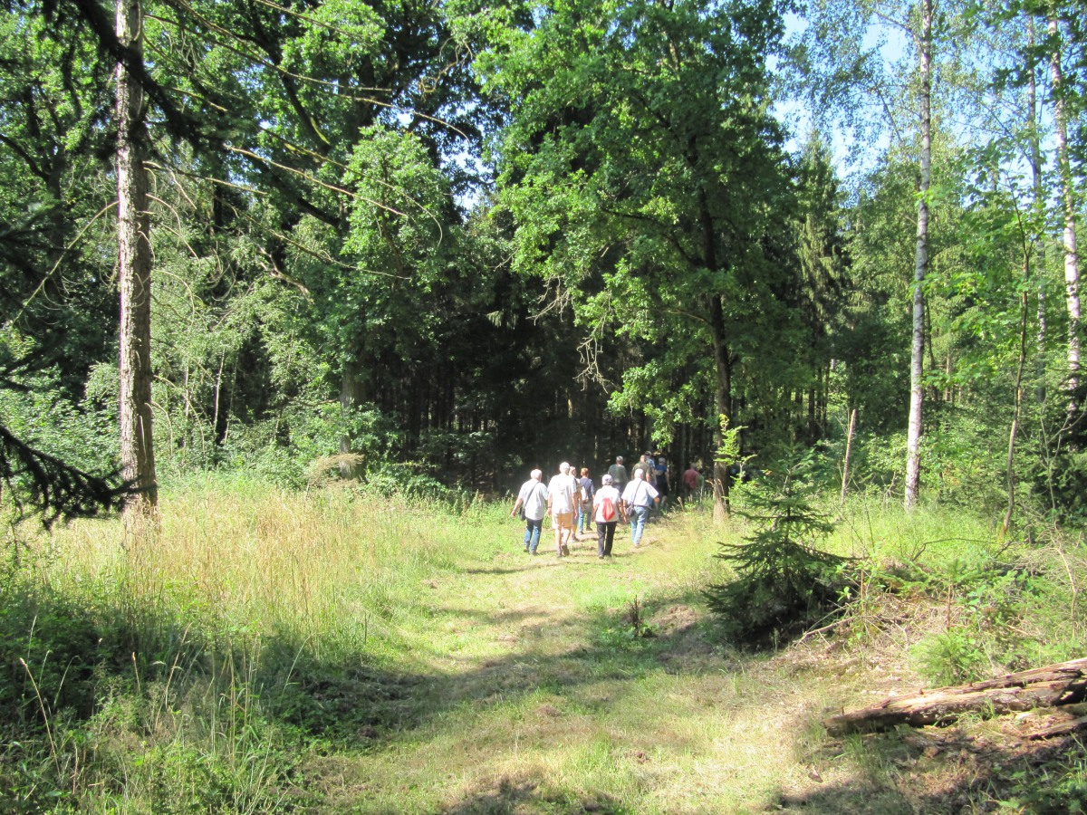 Waldbegehung_2026-07-25