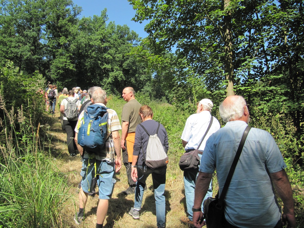 Waldbegehung_2026-07-25