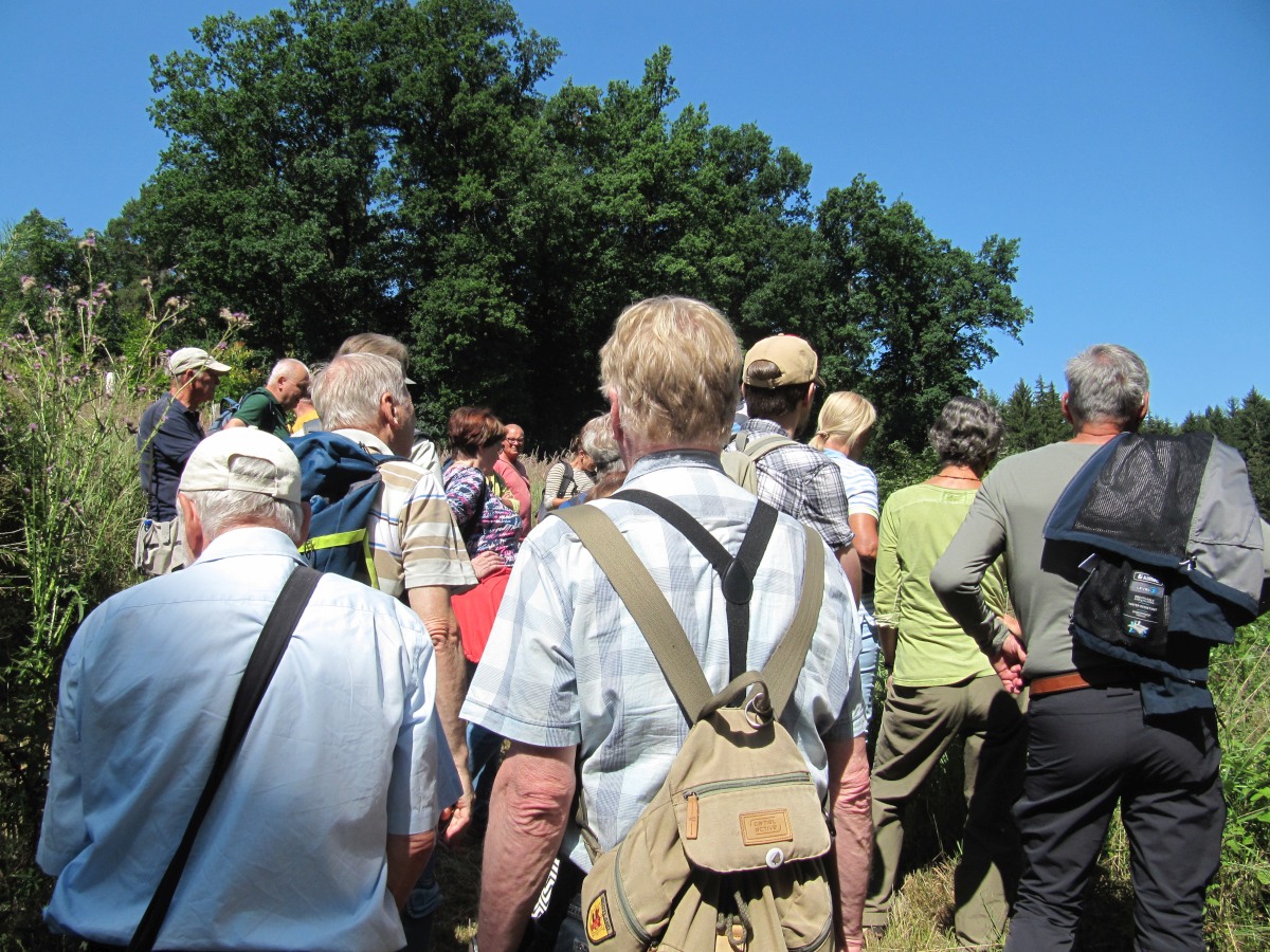 Waldbegehung_2026-07-25
