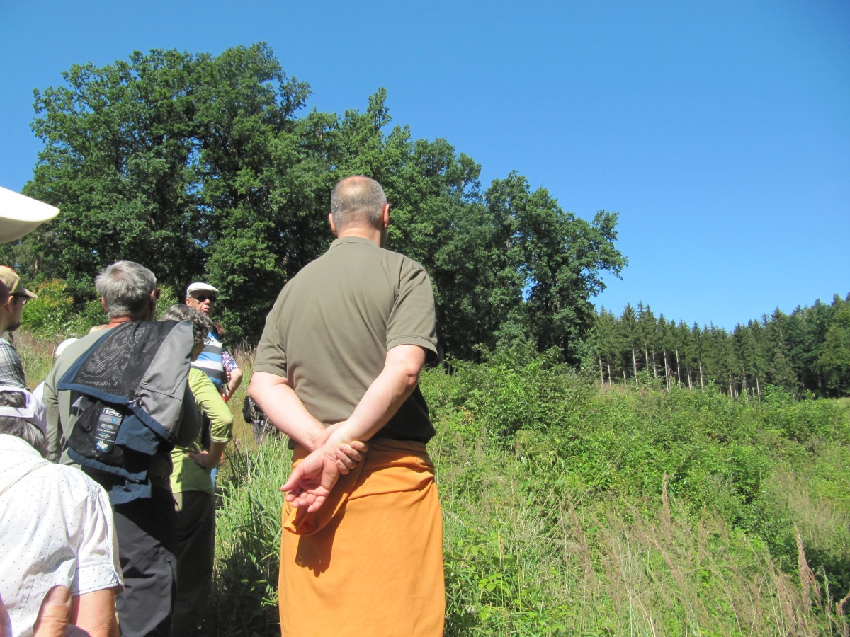 Waldbegehung_2026-07-25