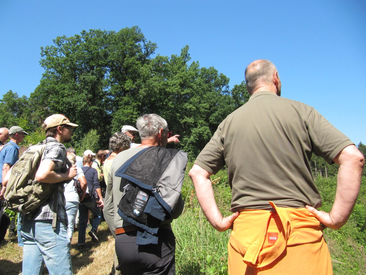Waldbegehung_2026-07-25