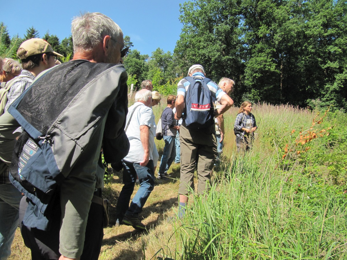 Waldbegehung_2026-07-25
