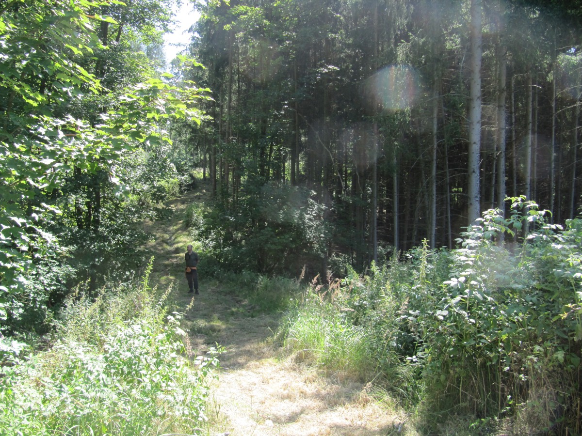Waldbegehung_2026-07-25