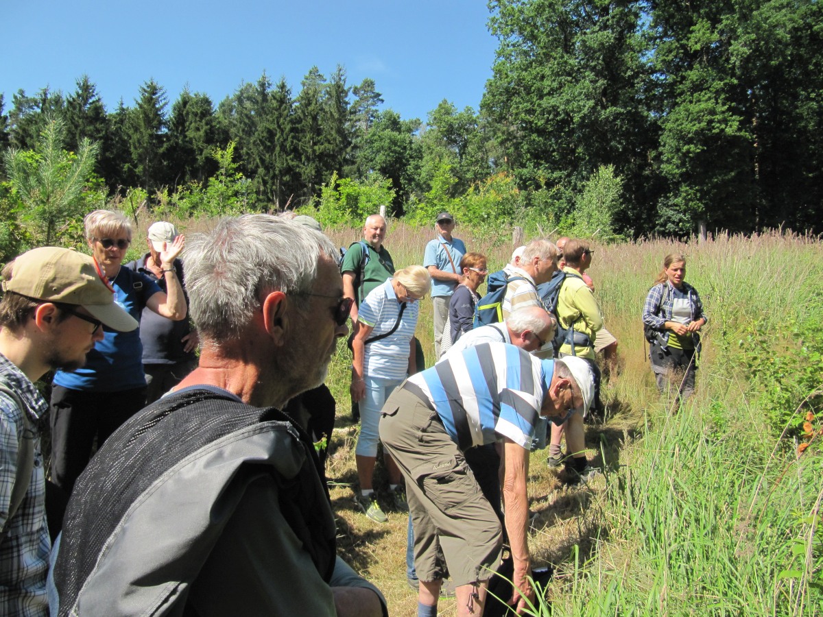 Waldbegehung_2026-07-25