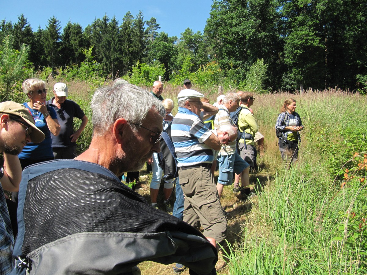 Waldbegehung_2026-07-25
