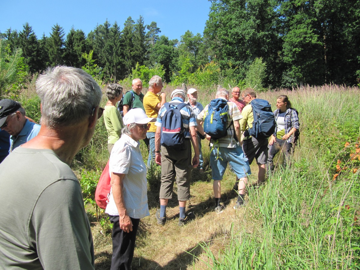 Waldbegehung_2026-07-25