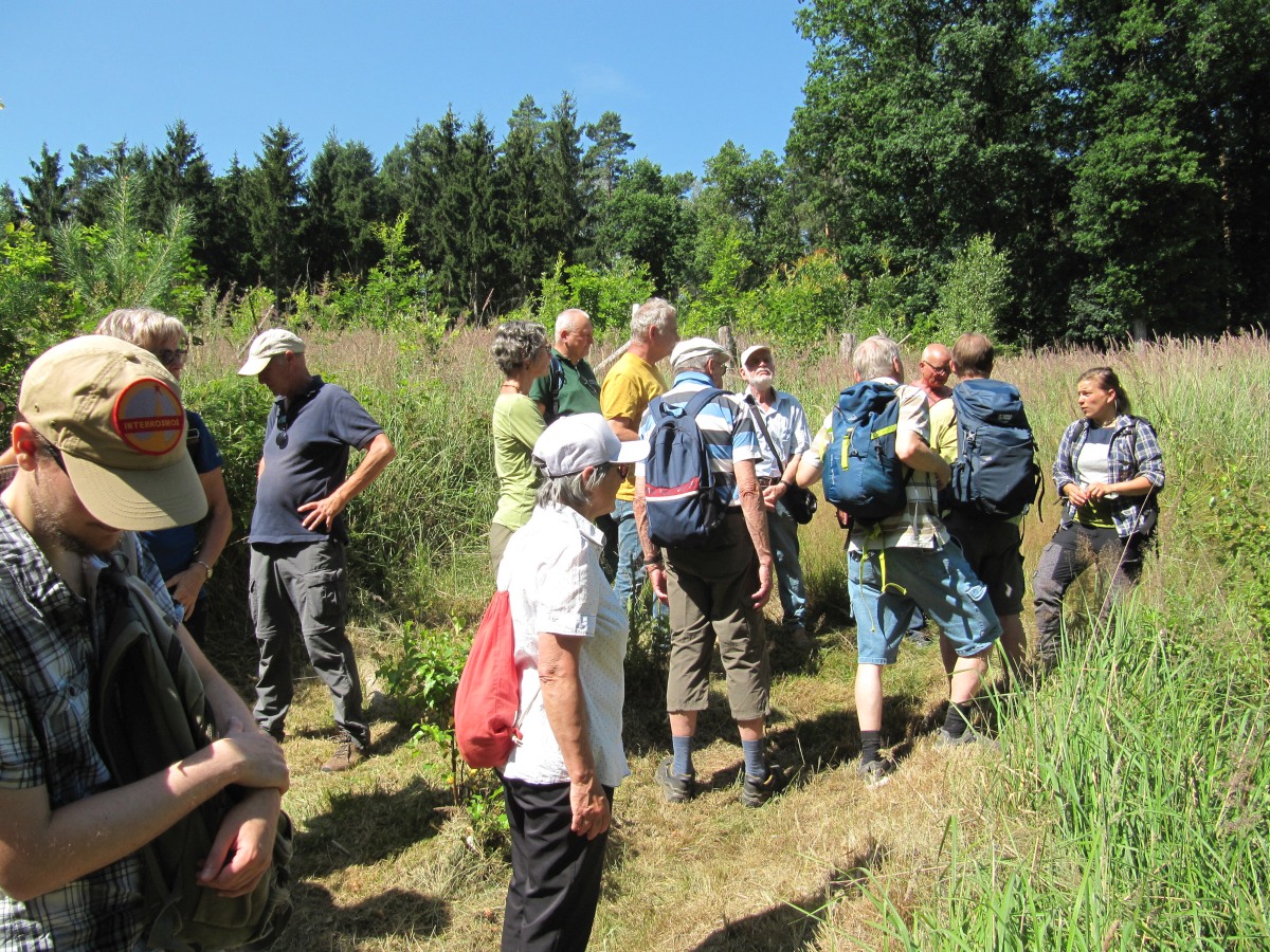 Waldbegehung_2026-07-25