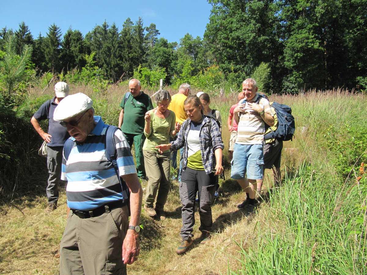 Waldbegehung_2026-07-25