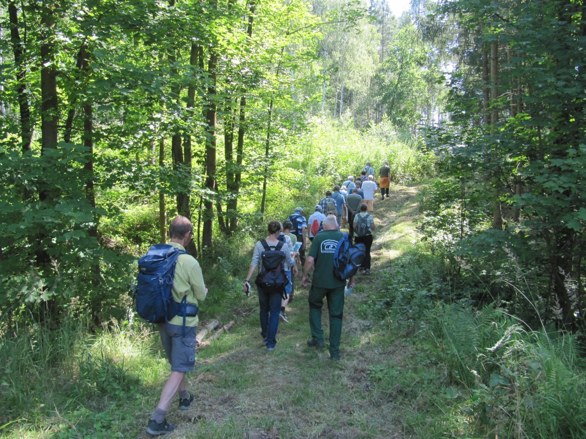 Waldbegehung_2026-07-25