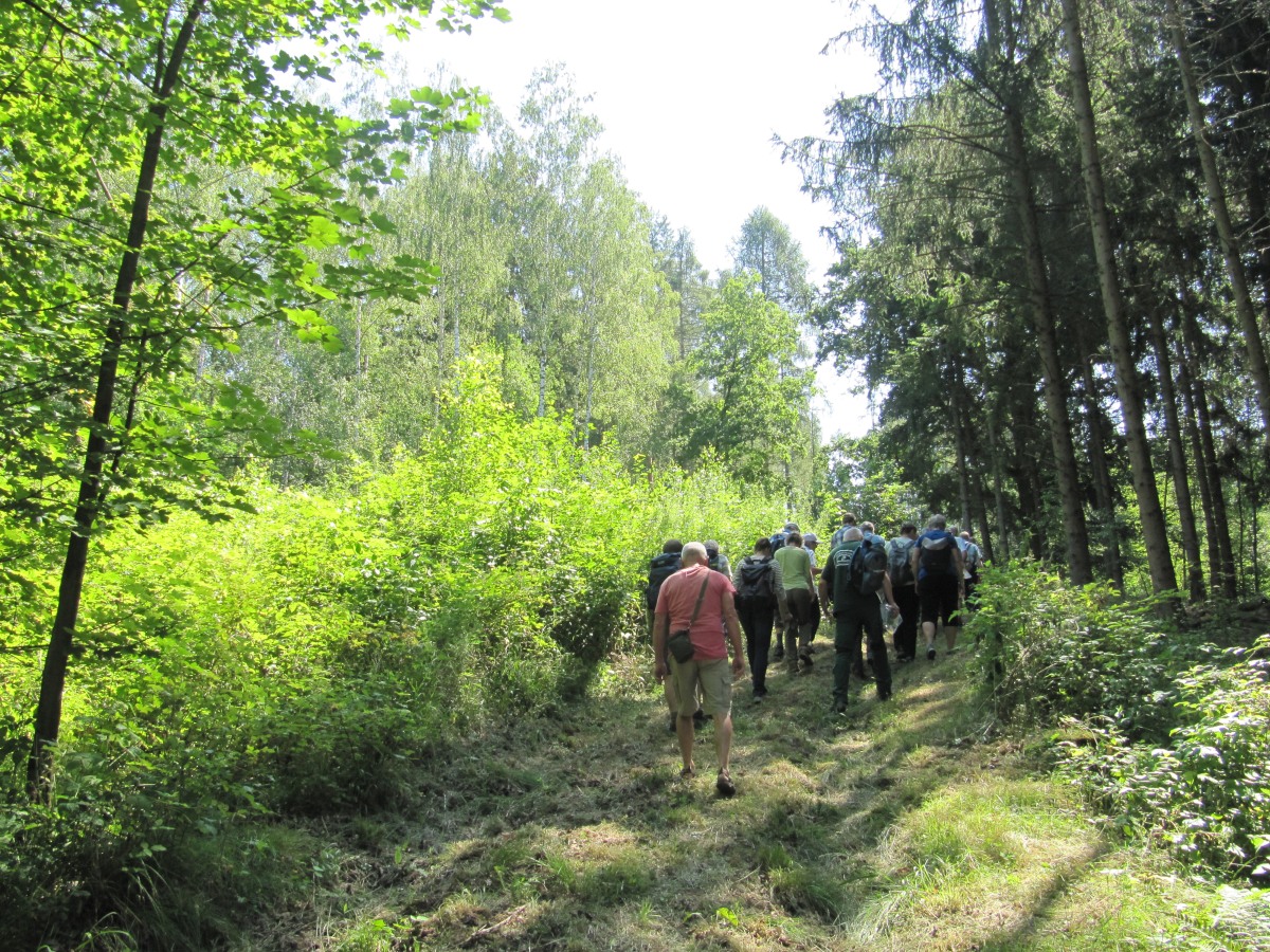 Waldbegehung_2026-07-25