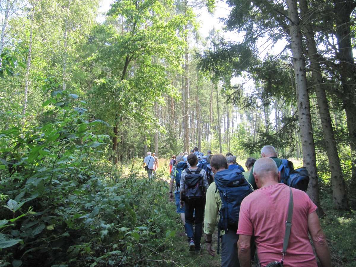 Waldbegehung_2026-07-25