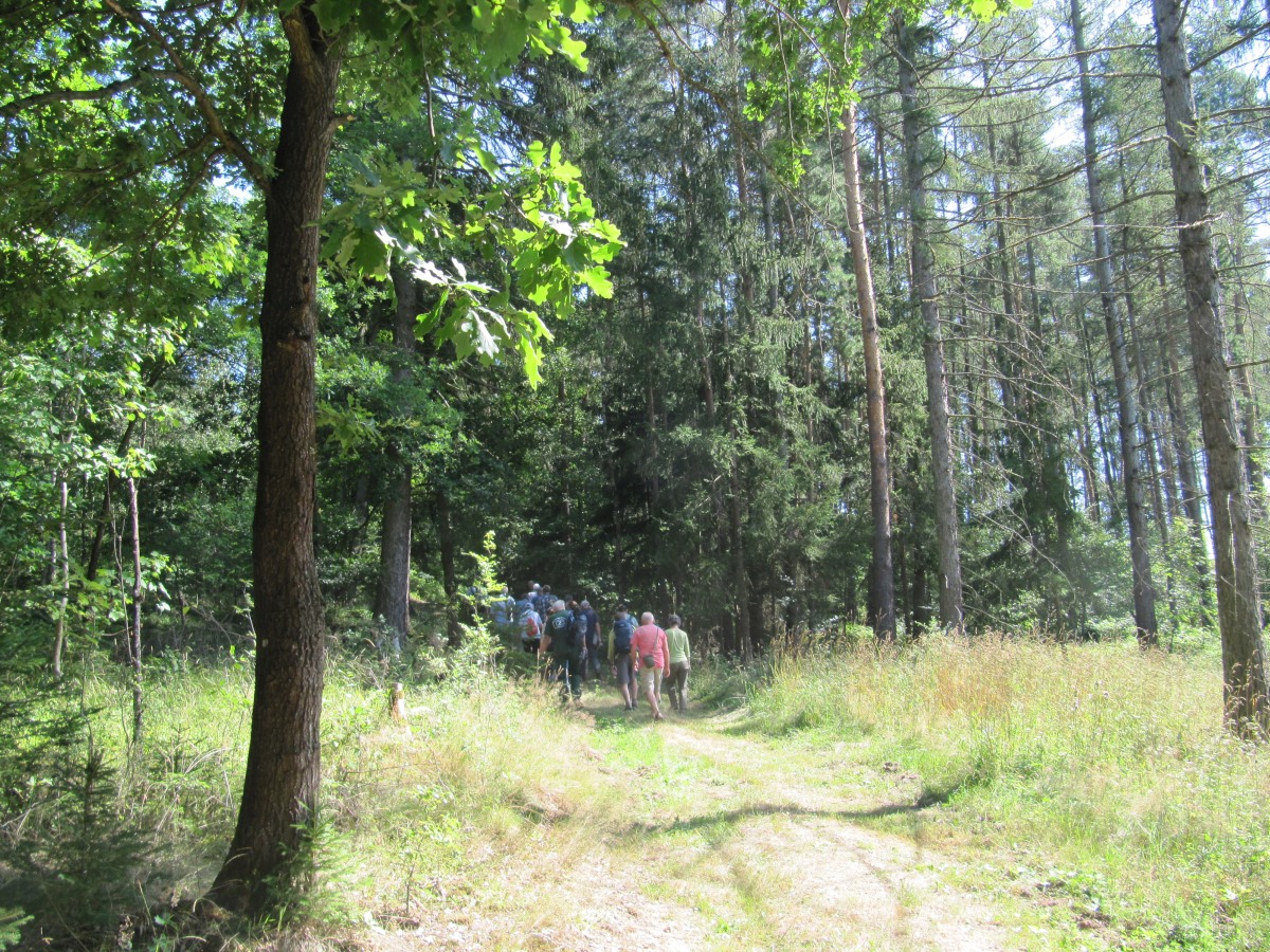 Waldbegehung_2026-07-25