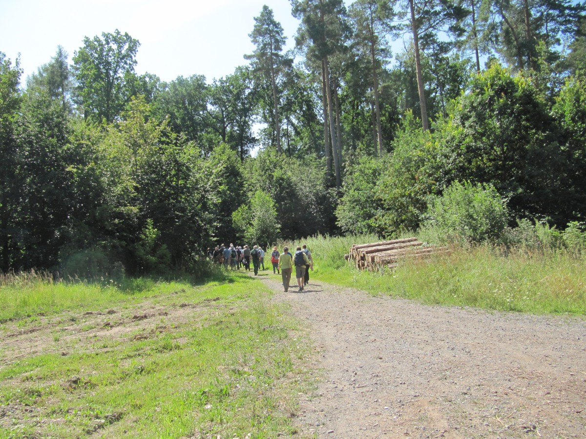 Waldbegehung_2026-07-25