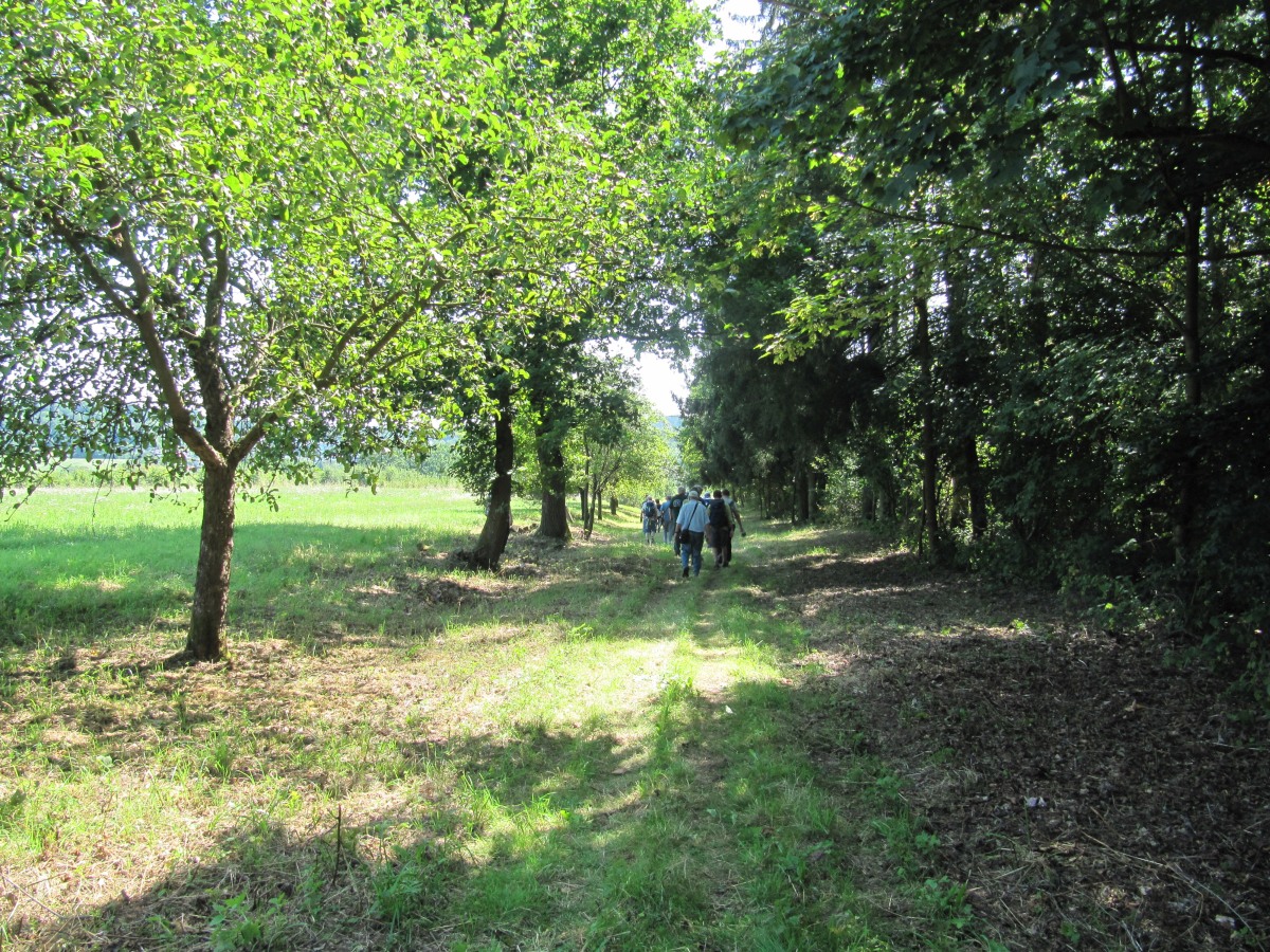 Waldbegehung_2026-07-25