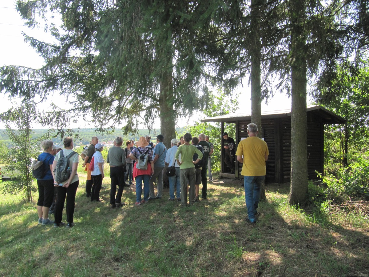 Waldbegehung_2026-07-25