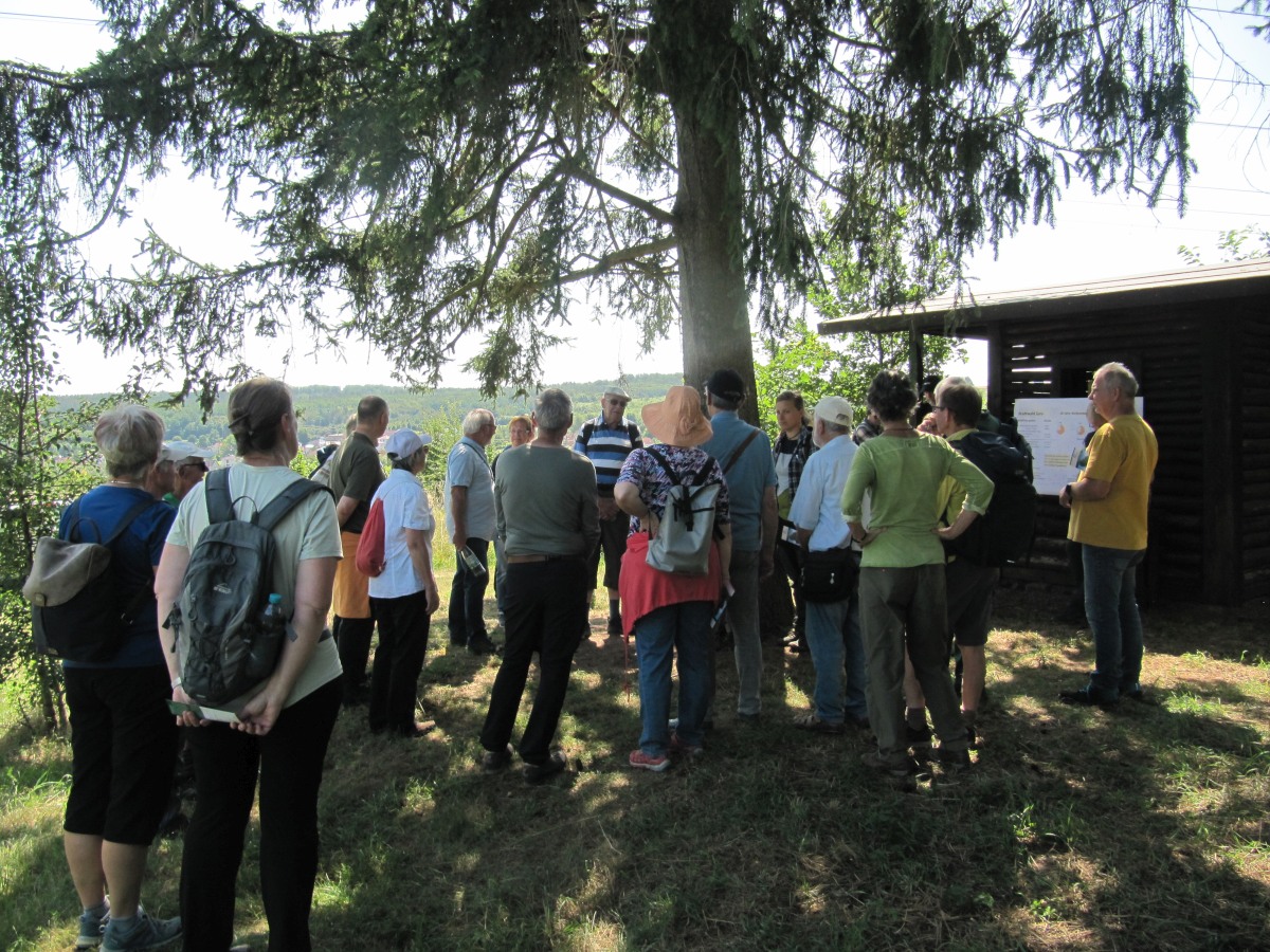 Waldbegehung_2026-07-25