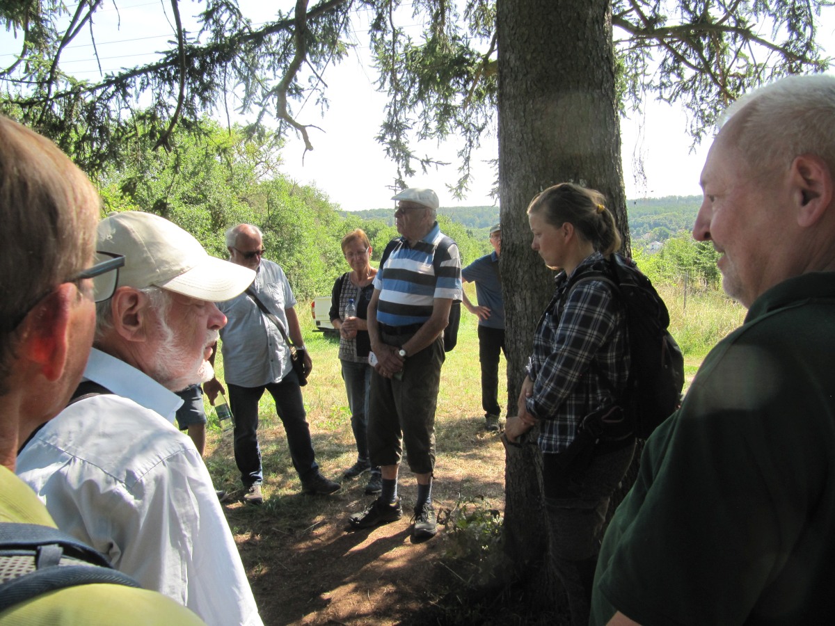 Waldbegehung_2026-07-25